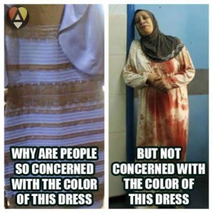 Dresses compared